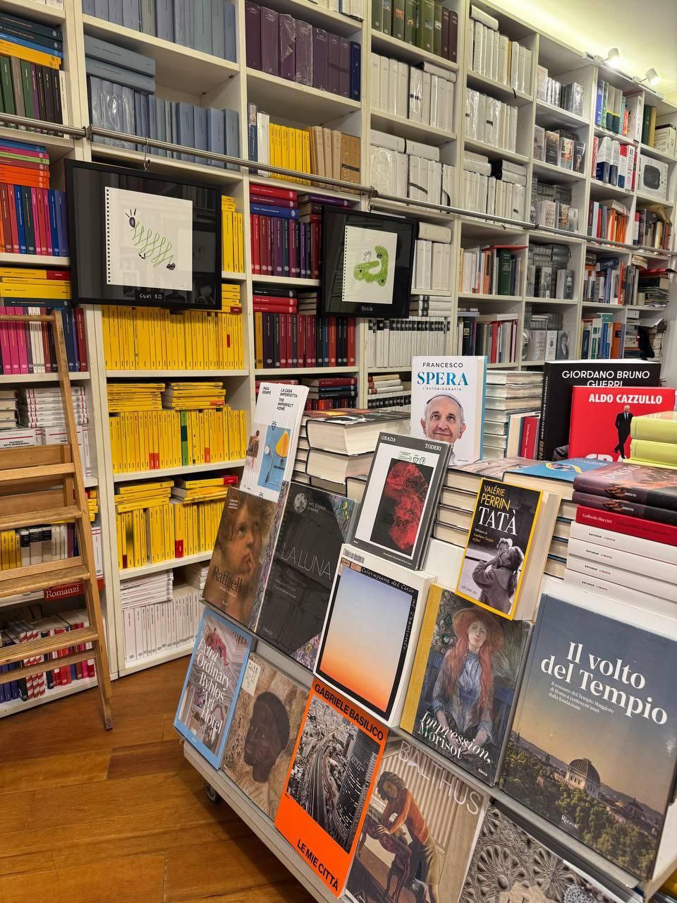 Scaffali della Libreria Lithos